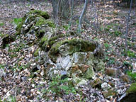 Ruiny kapliczki. Zdjêcie pochodzi ze strony www.pagaz.com.pl